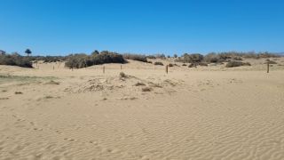 2023-GC--Mapalomas dunas-S123-106.jpg